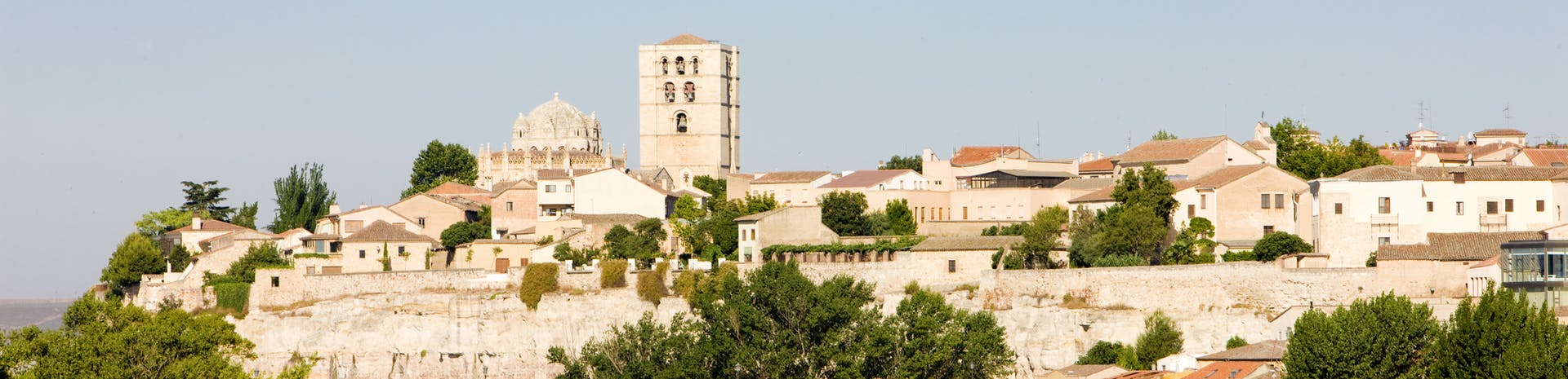 Picture of Zamora