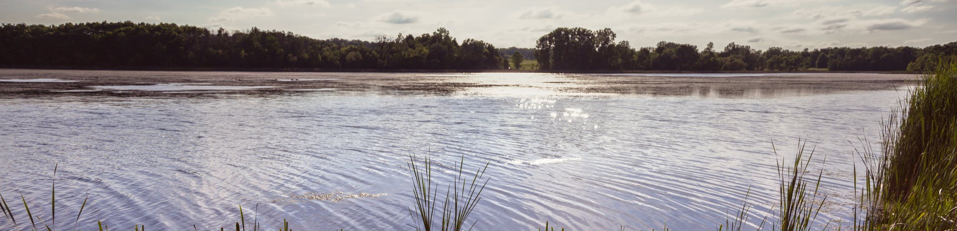 Picture of Woodbury