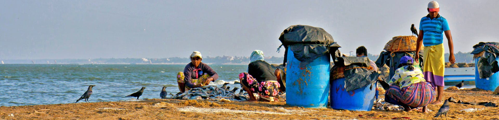 Picture of Negombo