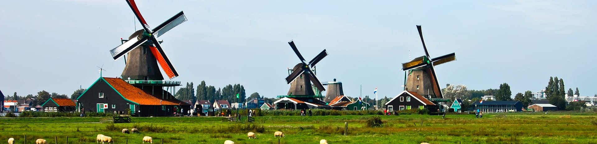 Picture of Waarland