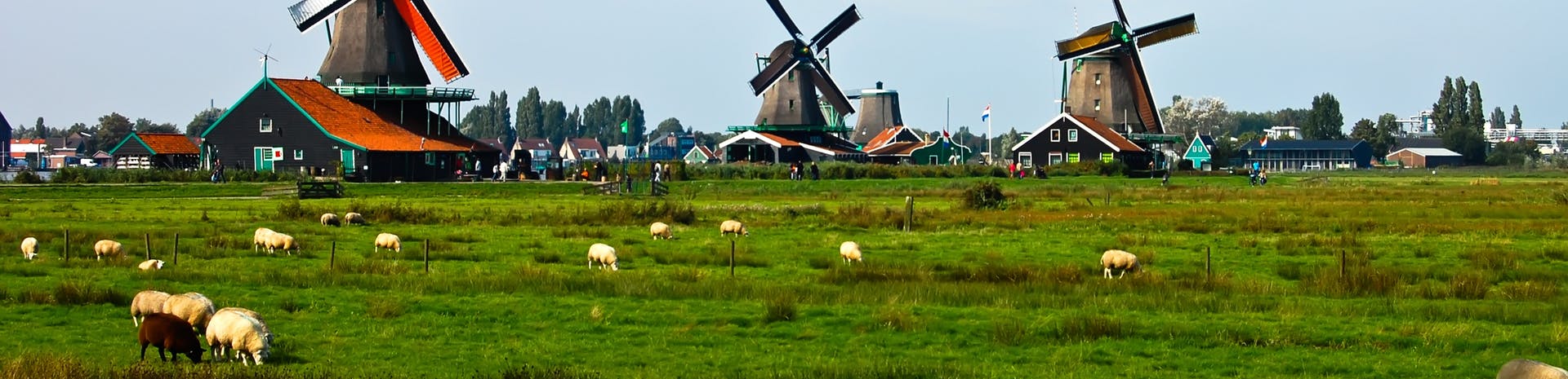 Picture of Stolwijk