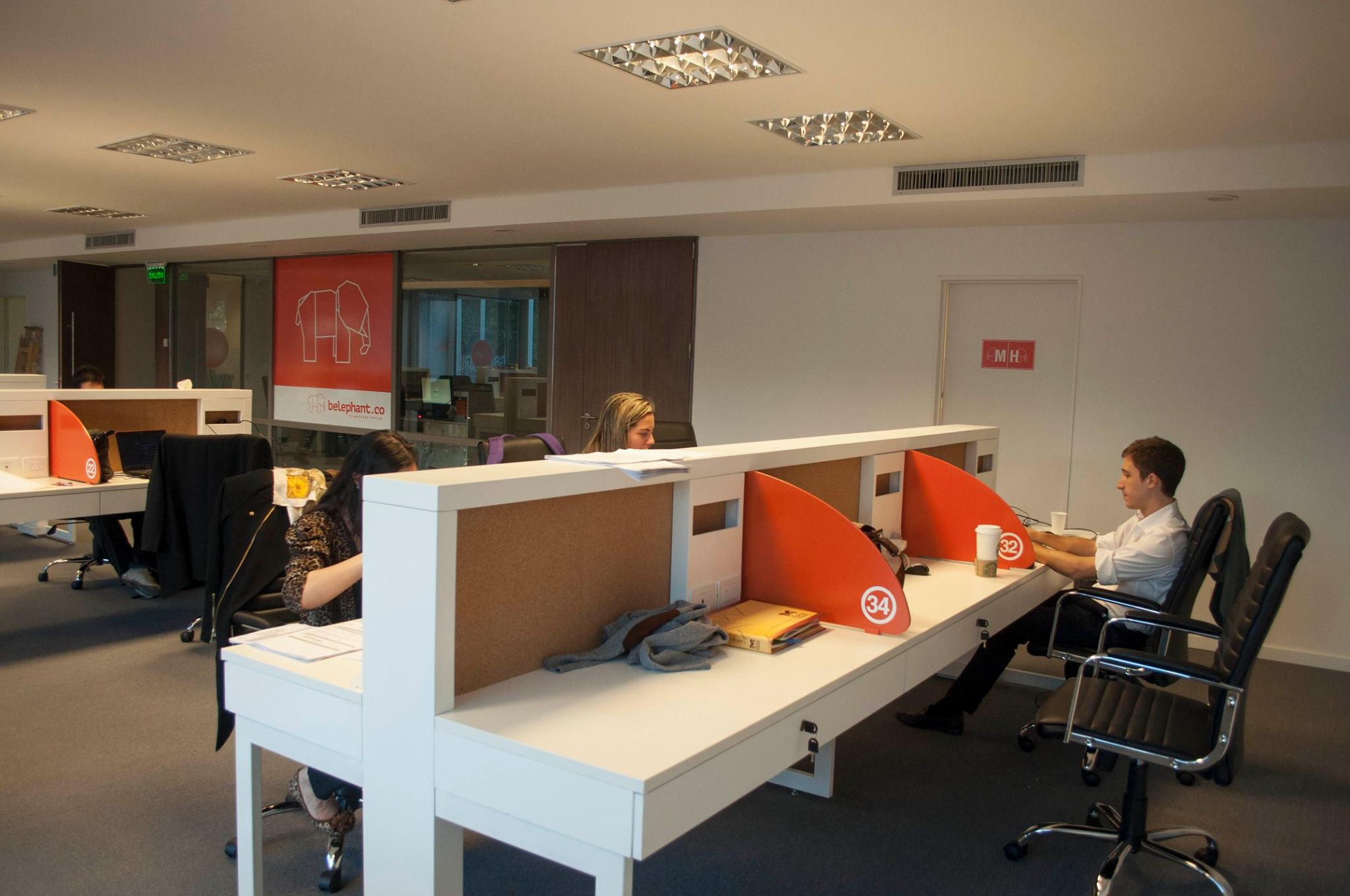 Belephant.co image 2