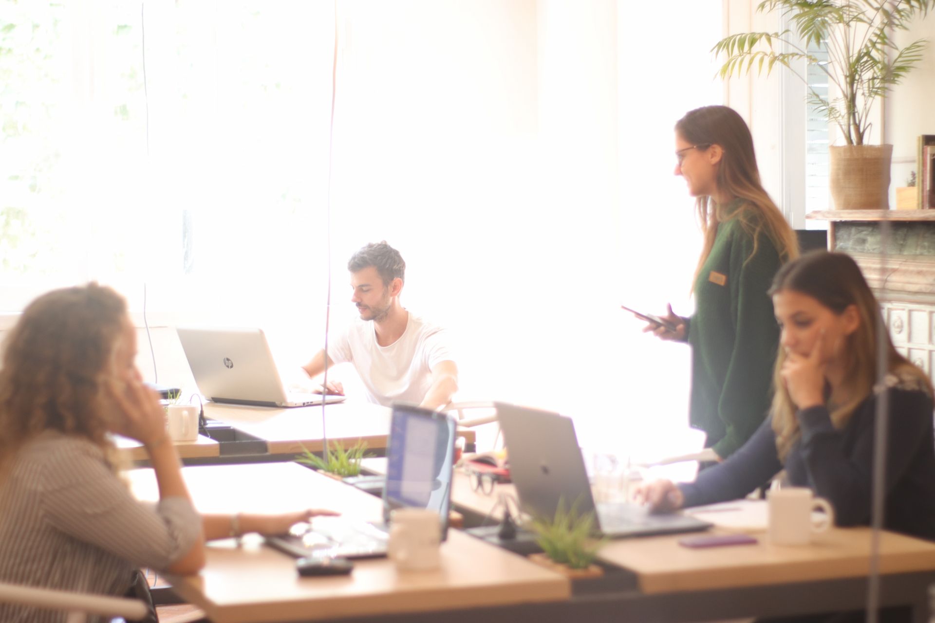 El Semillero Coworking image 3