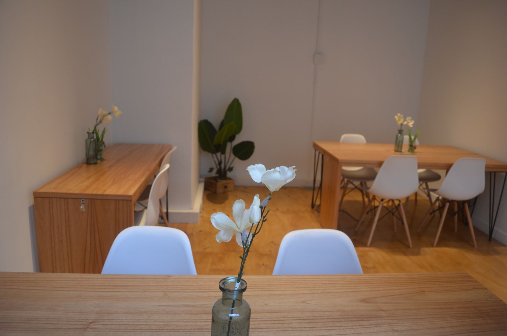 Punto ian Co. image 3