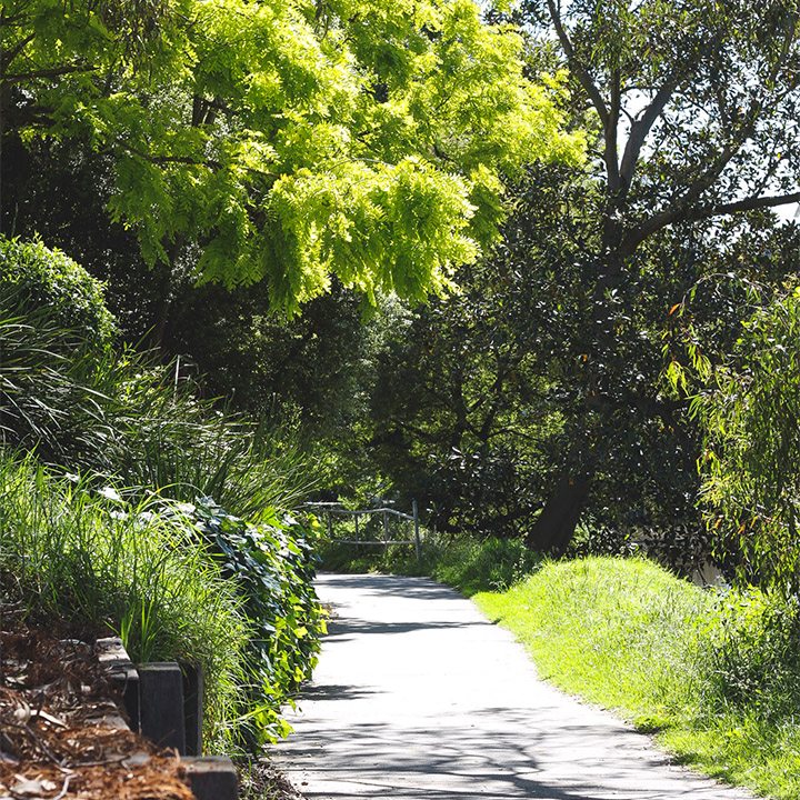 Higher Spaces image 4