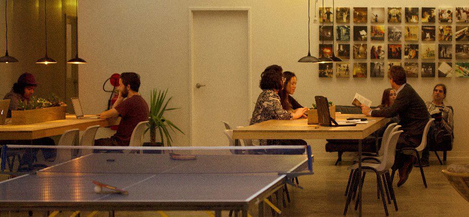 Mycelium Studios image 3