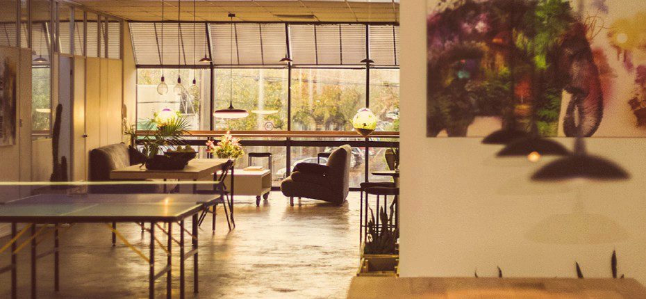 Mycelium Studios image 5