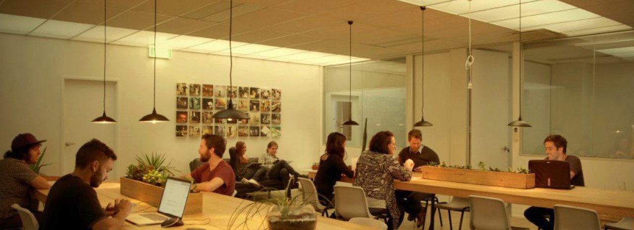 Mycelium Studios profile image