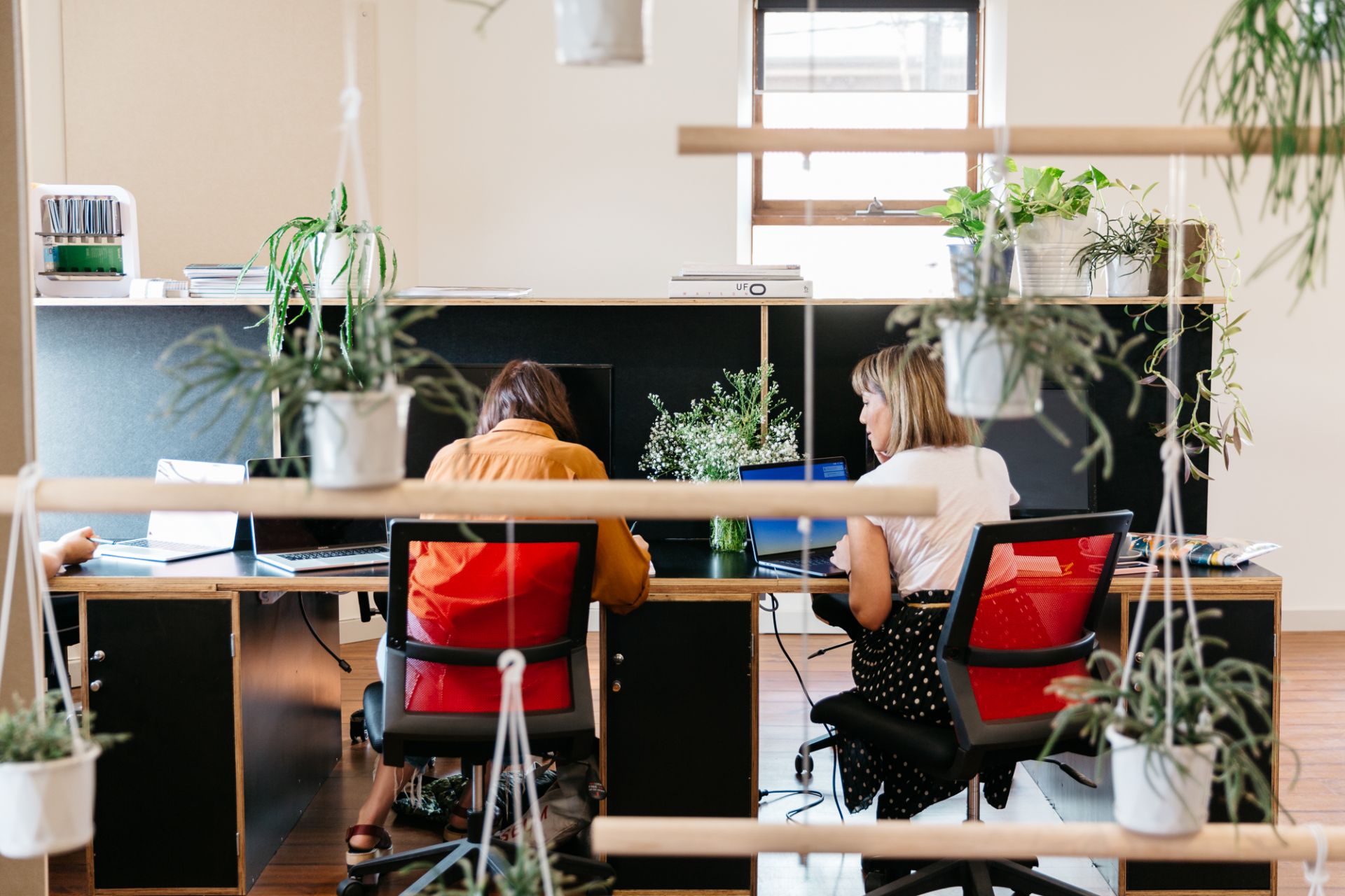 in. Studio + Cafe image 2