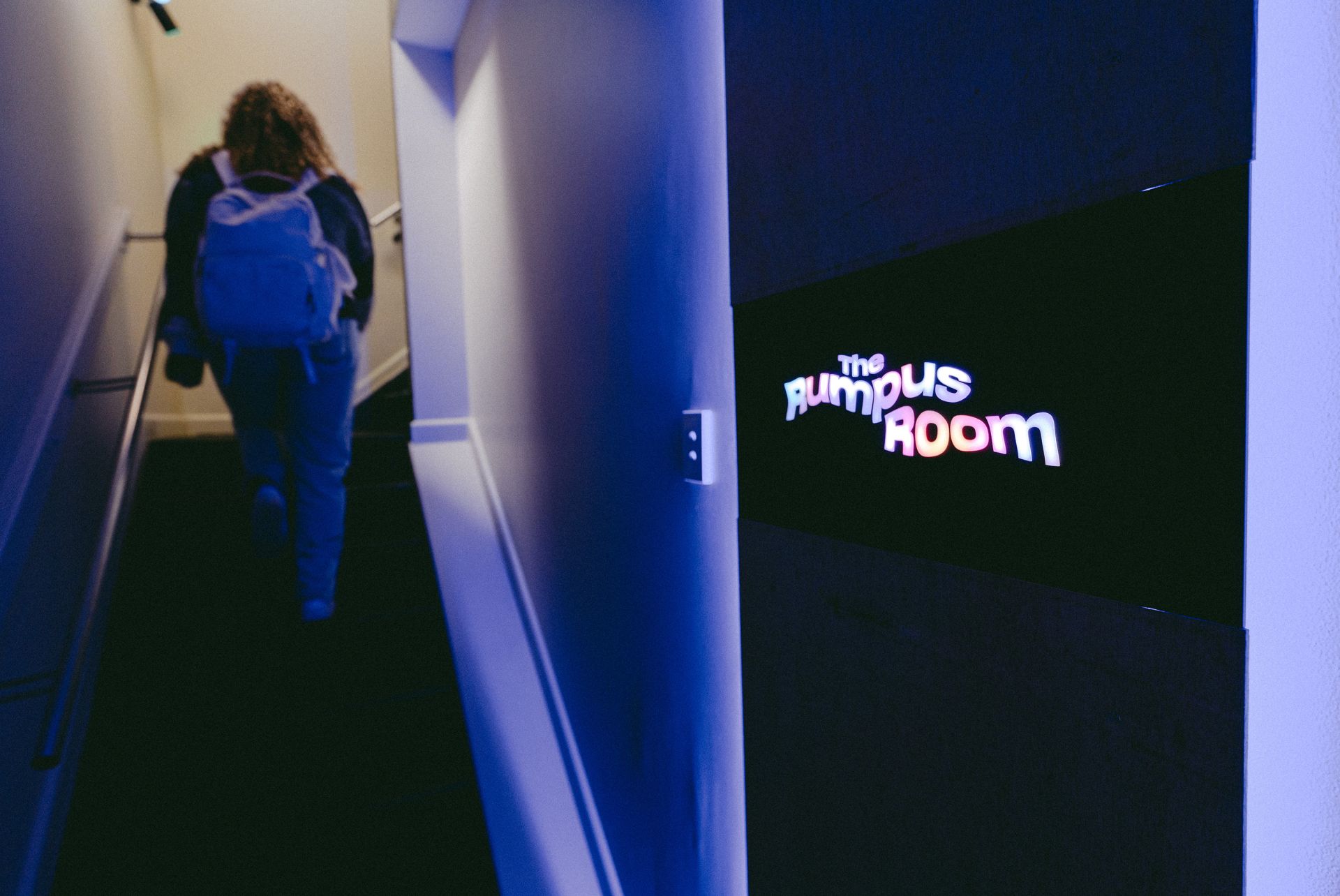 The Rumpus Room image 3