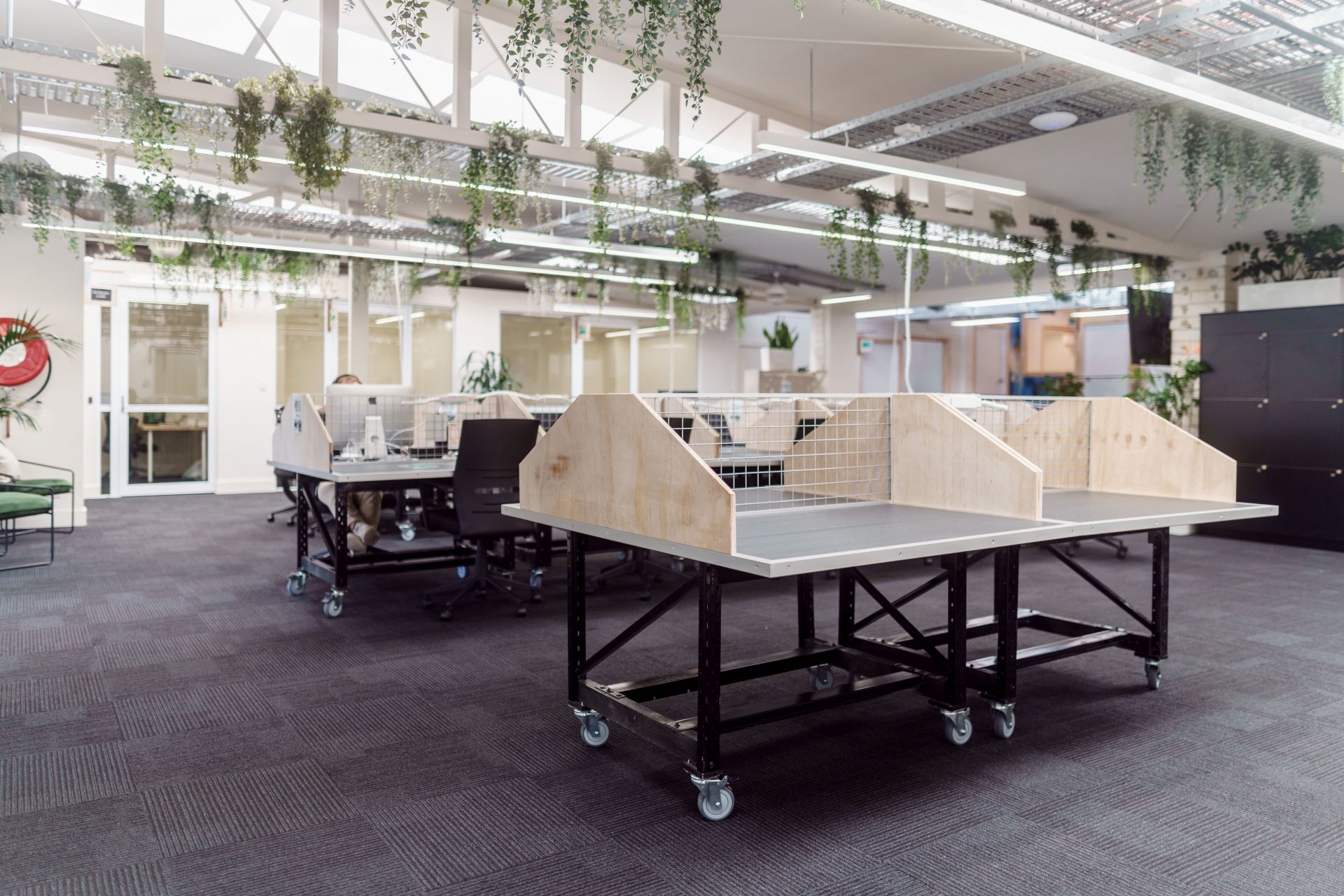 WOTSO Brookvale image 2