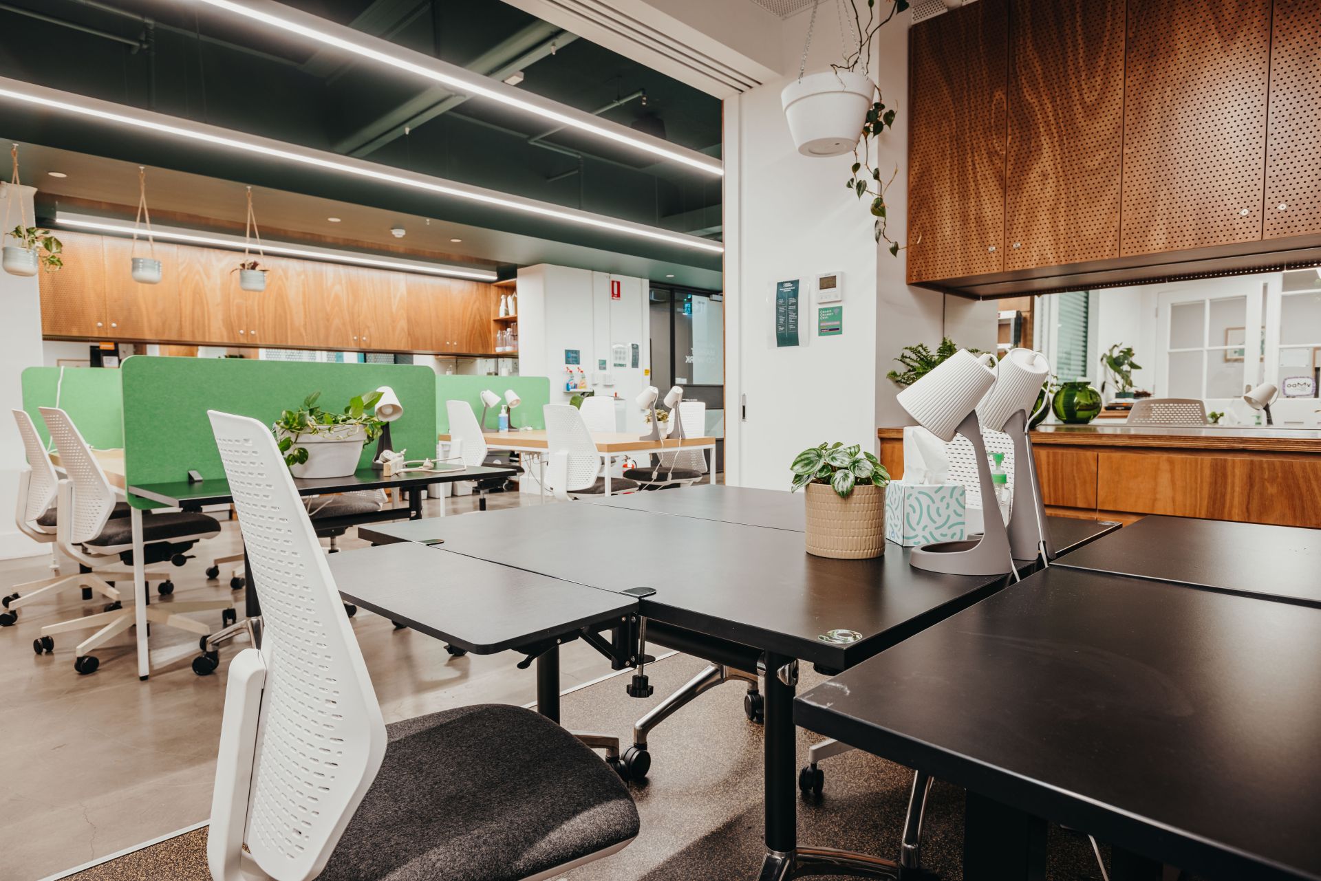 Music Market image 2