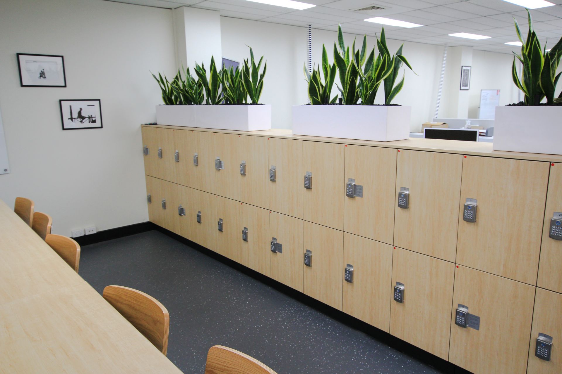 Agnes Health image 2