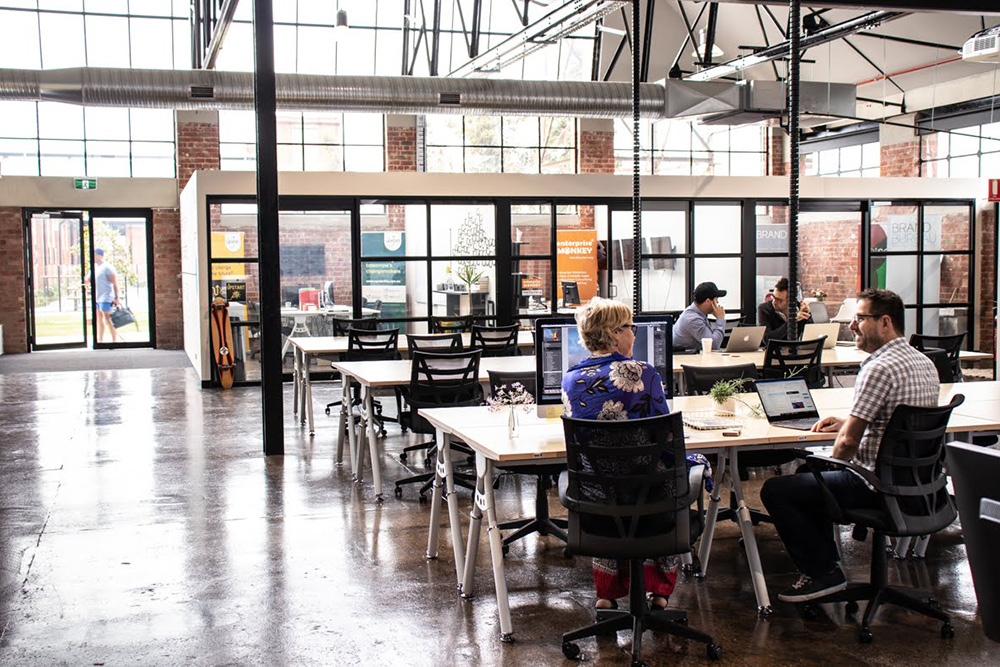 The Company Spot image 3