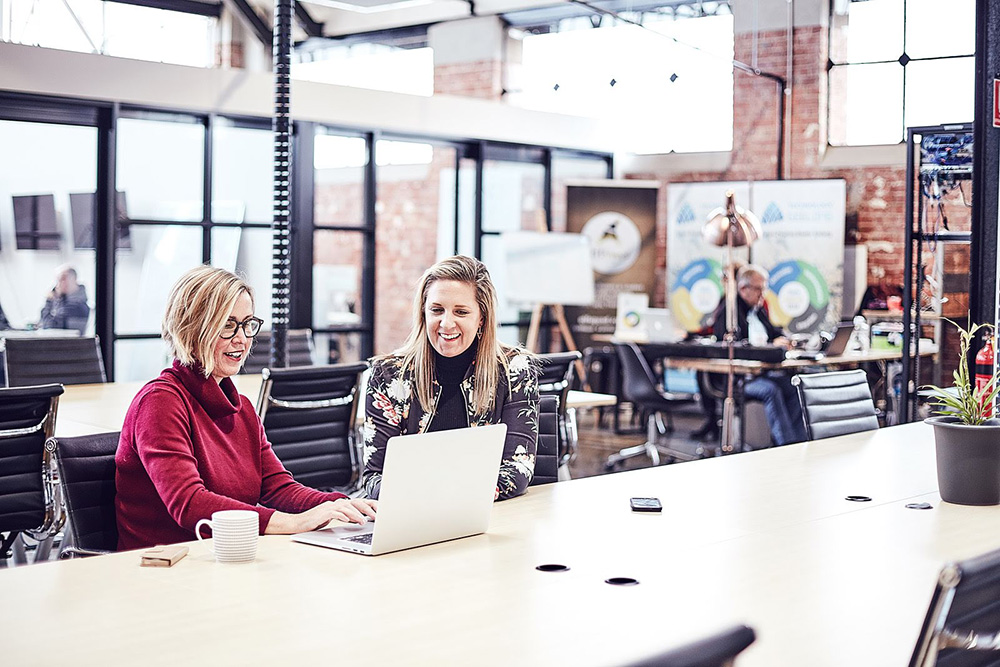 The Company Spot image 5