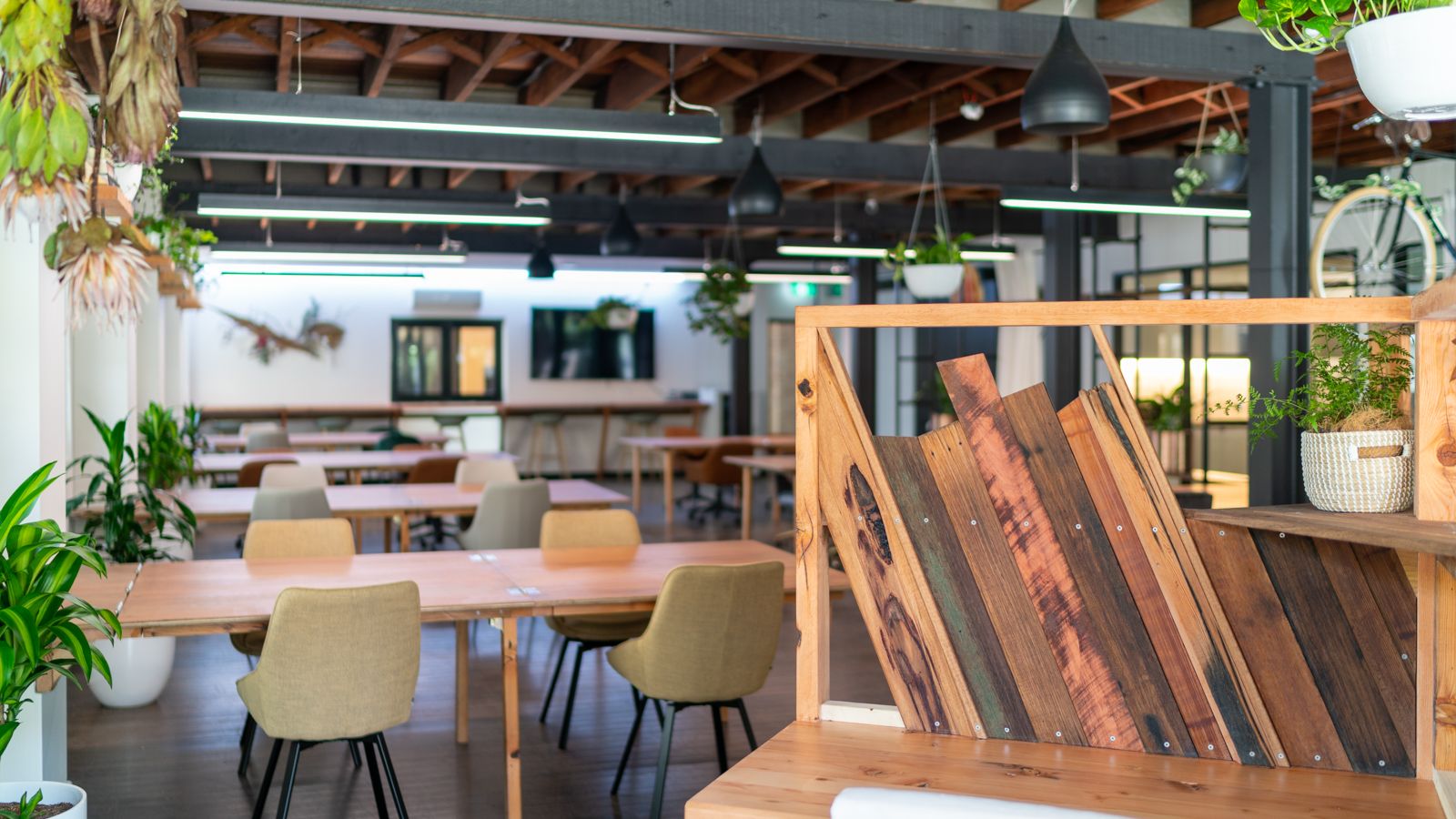 Seed Workspaces image 2