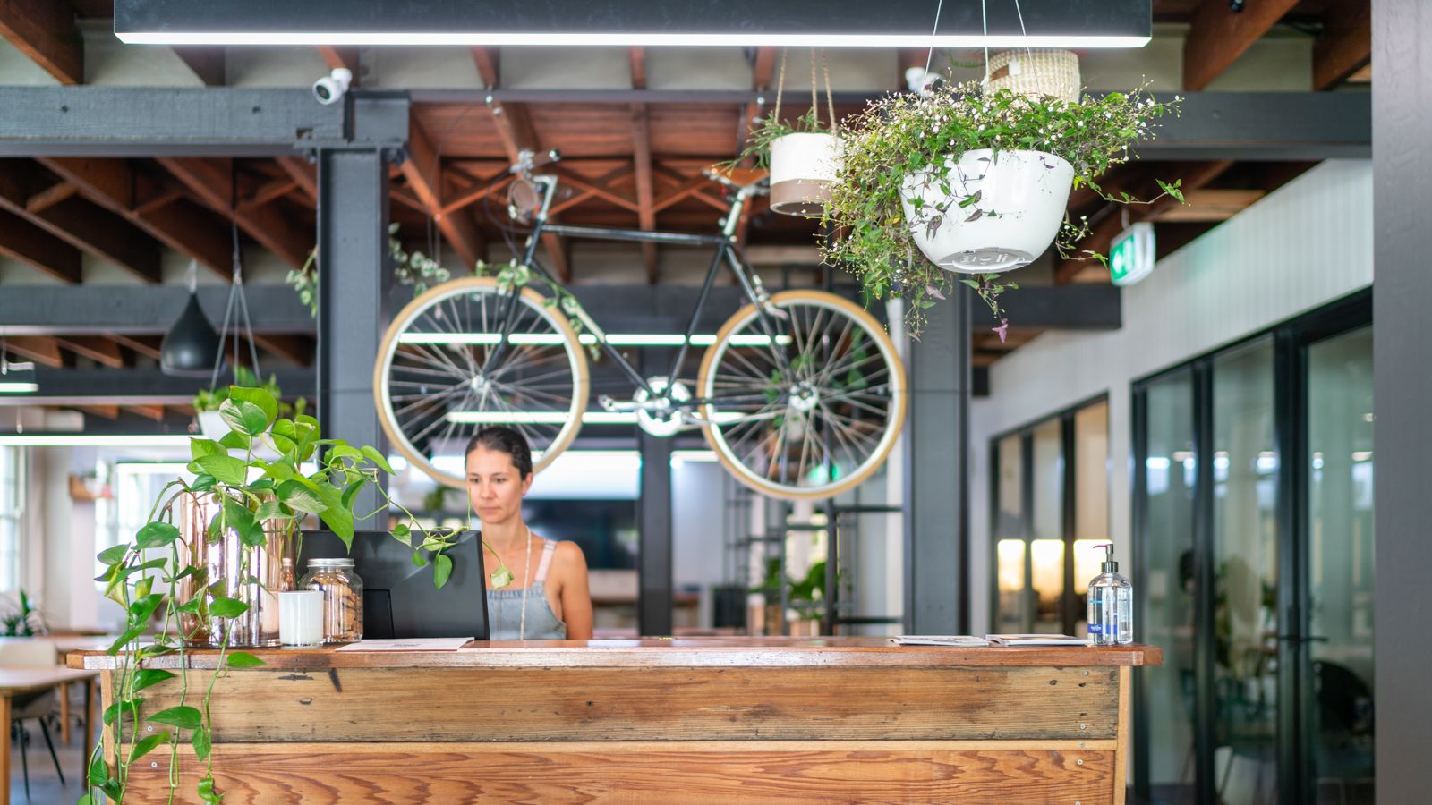 Seed Workspaces image 3