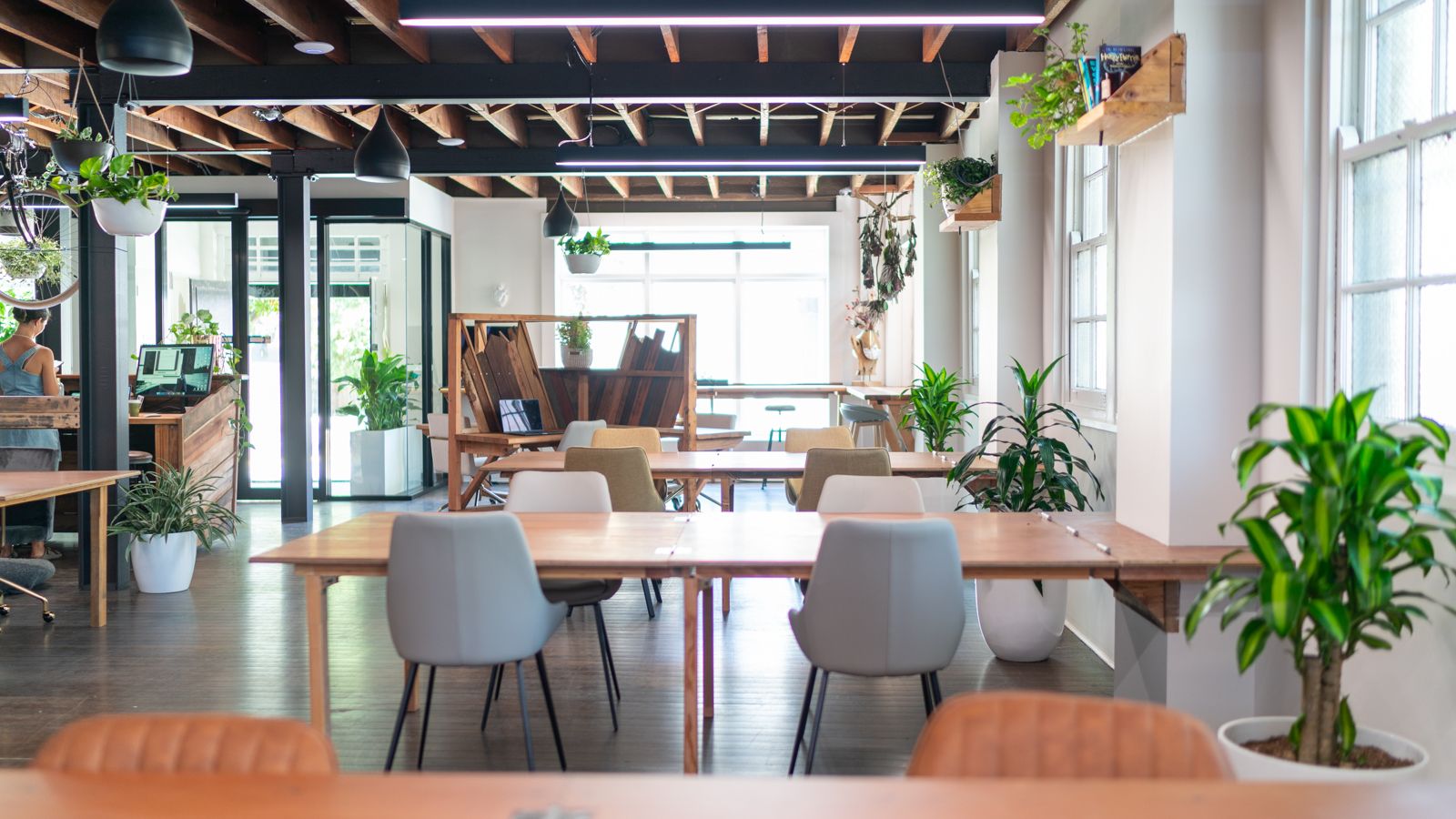 Seed Workspaces image 5