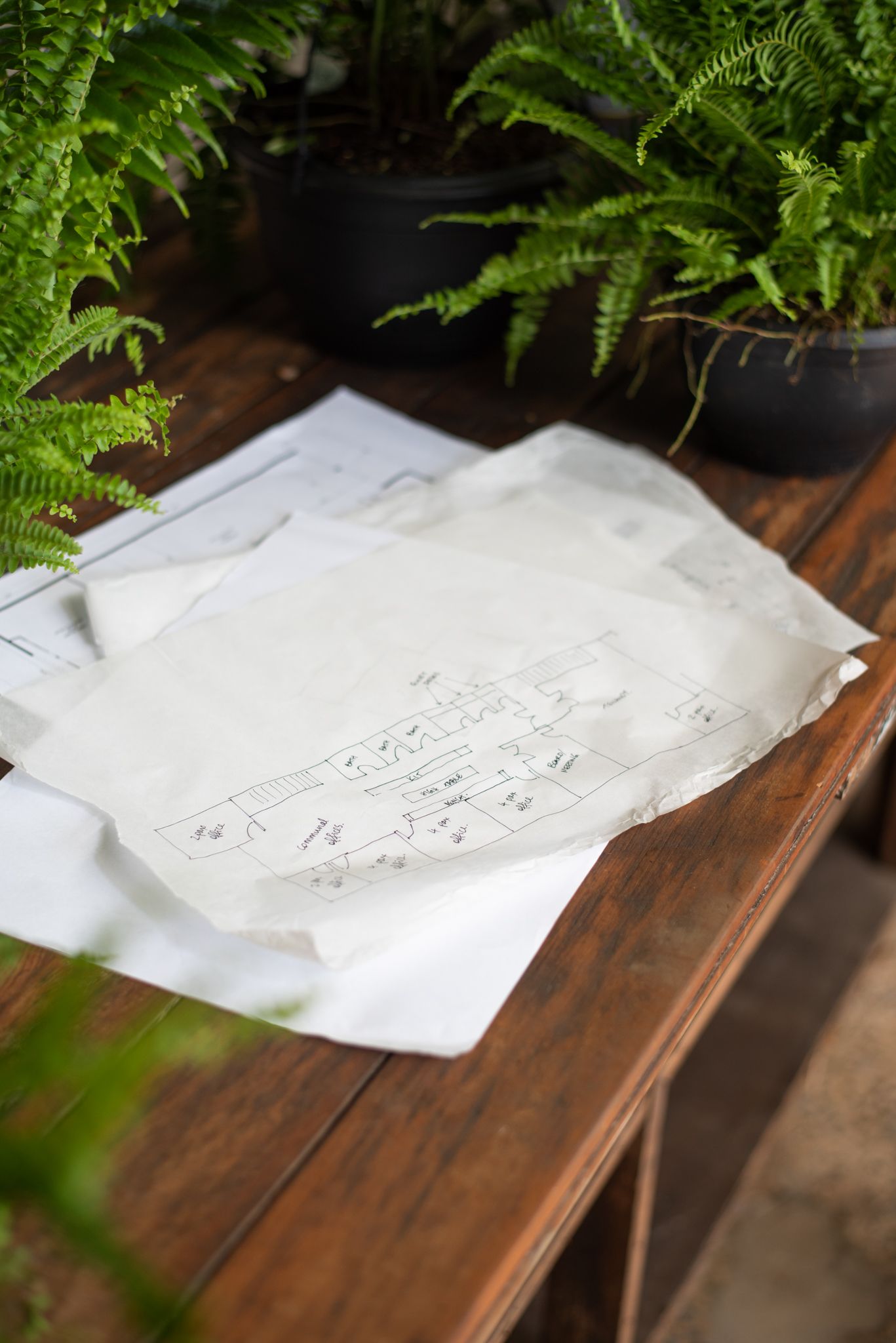 Herb Urban Hub image 4