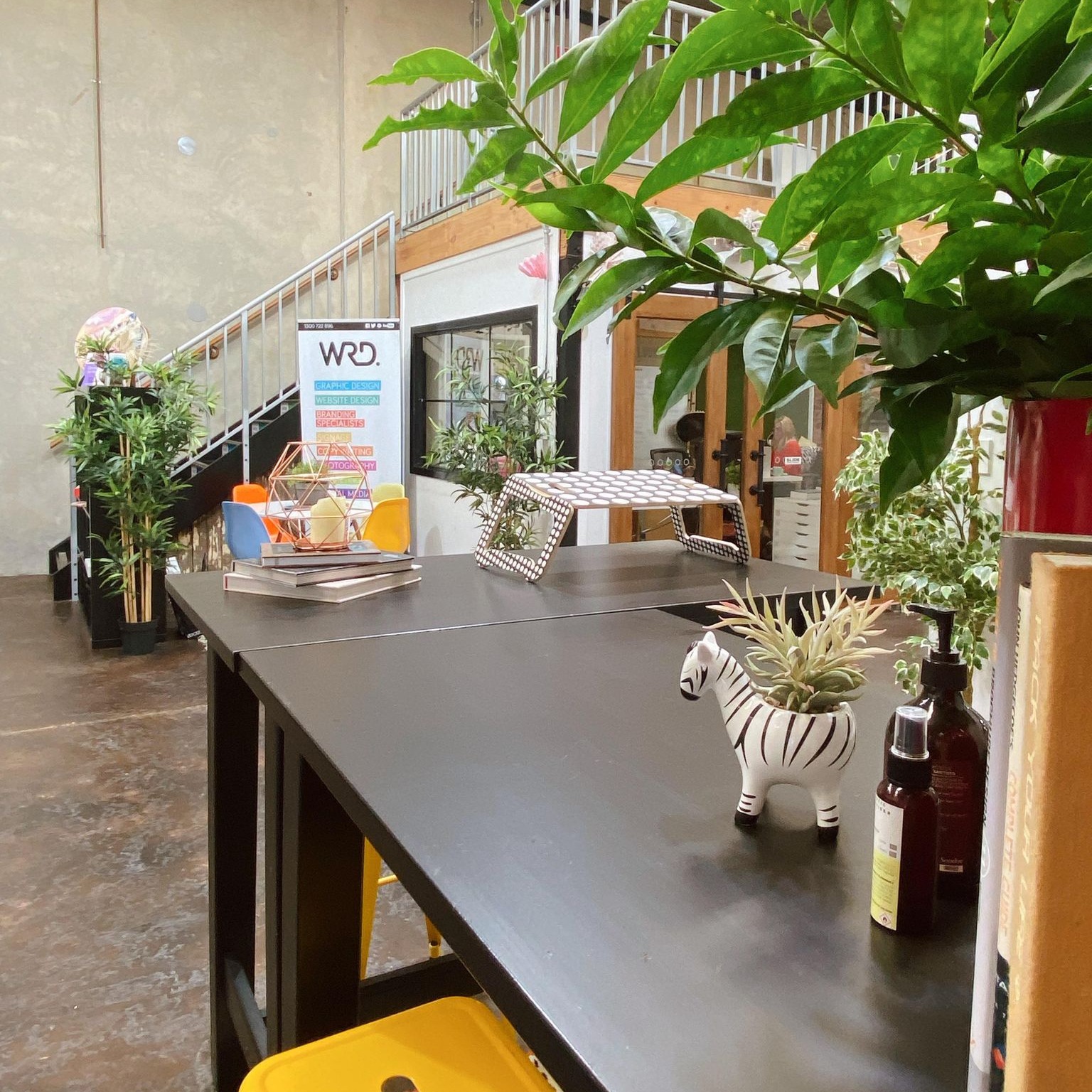 The Creative Fringe image 5