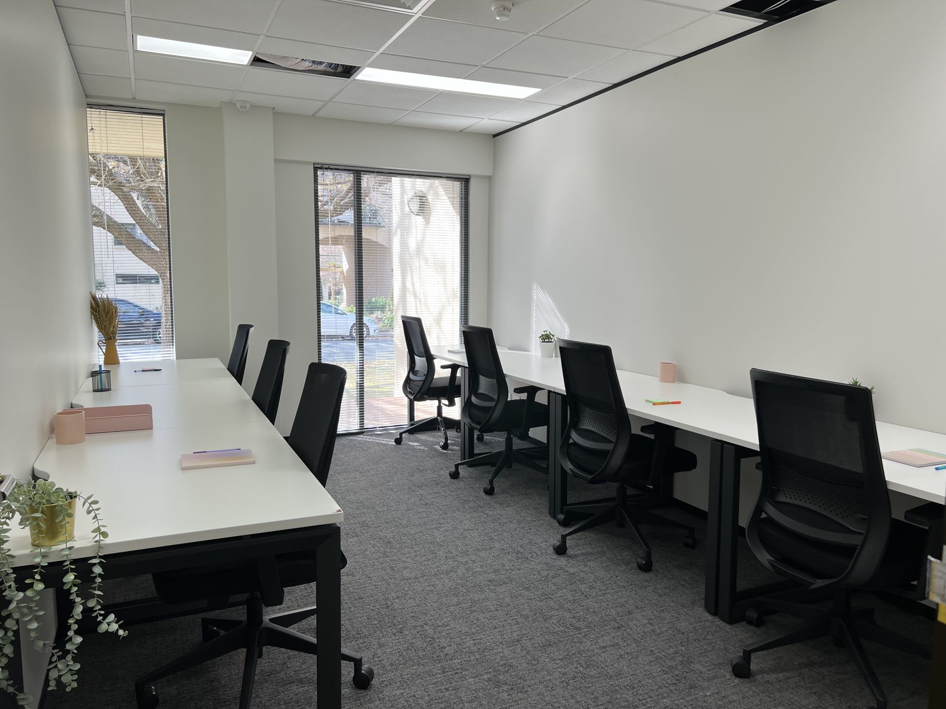 JAGA Kingston image 4