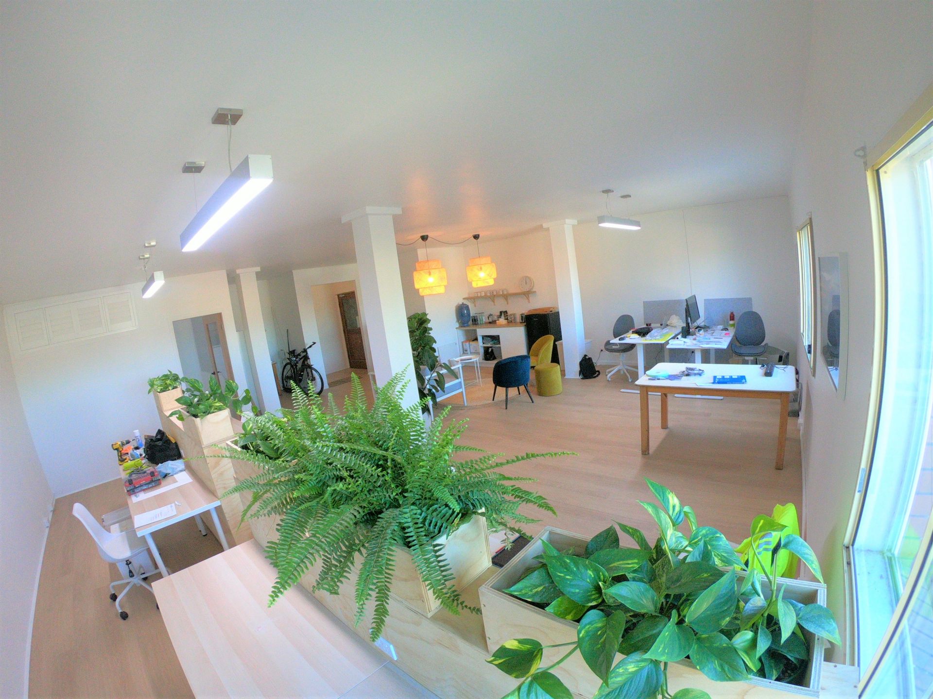 Long Jetty Workspace image 2