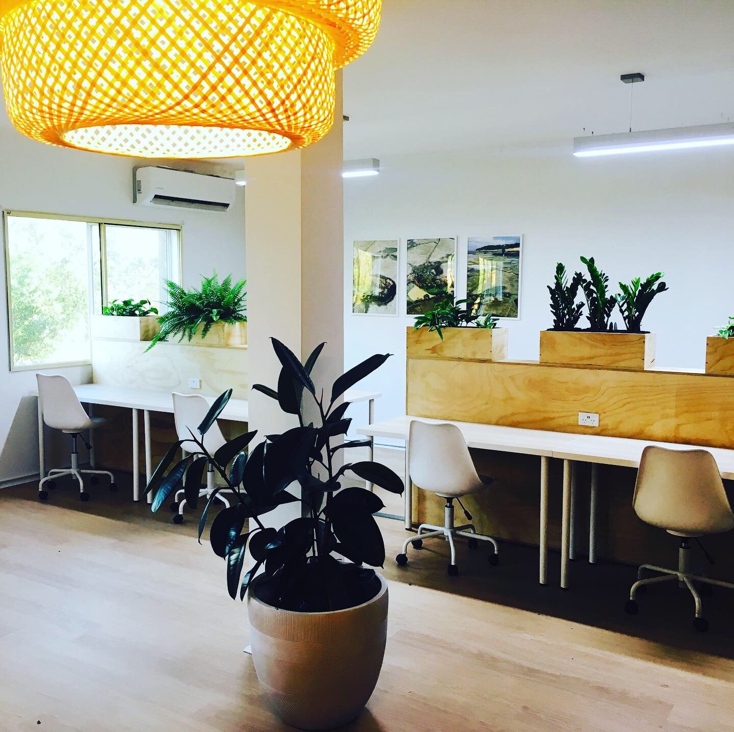 Long Jetty Workspace image 3