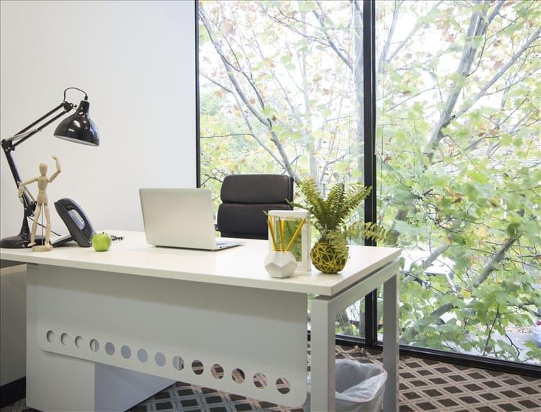 Asian Pacific image 2