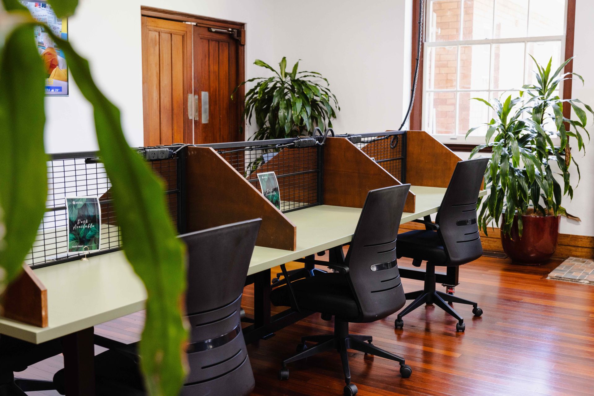 WOTSO North Head image 5