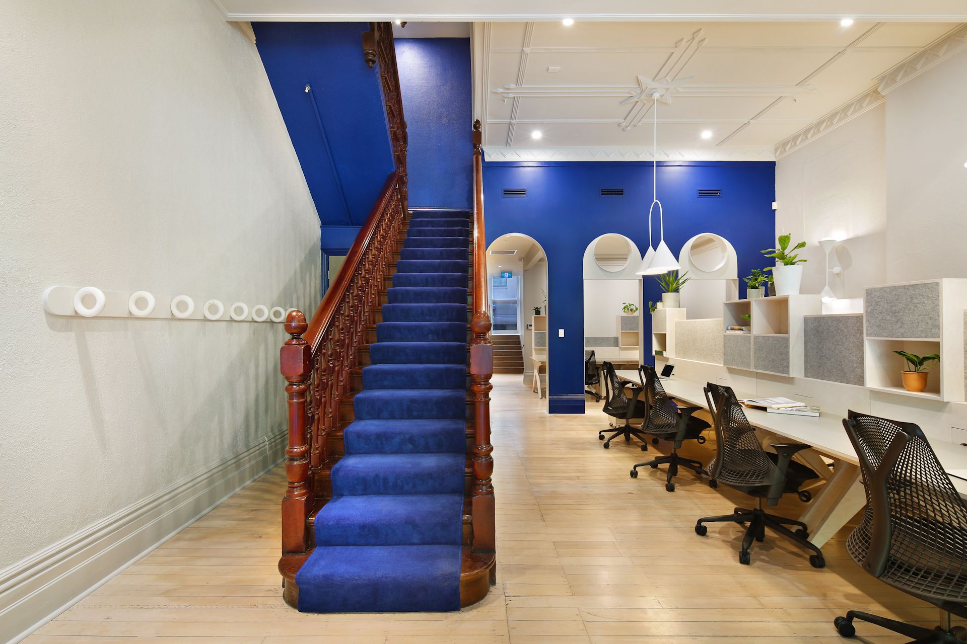 25 King Collective image 3