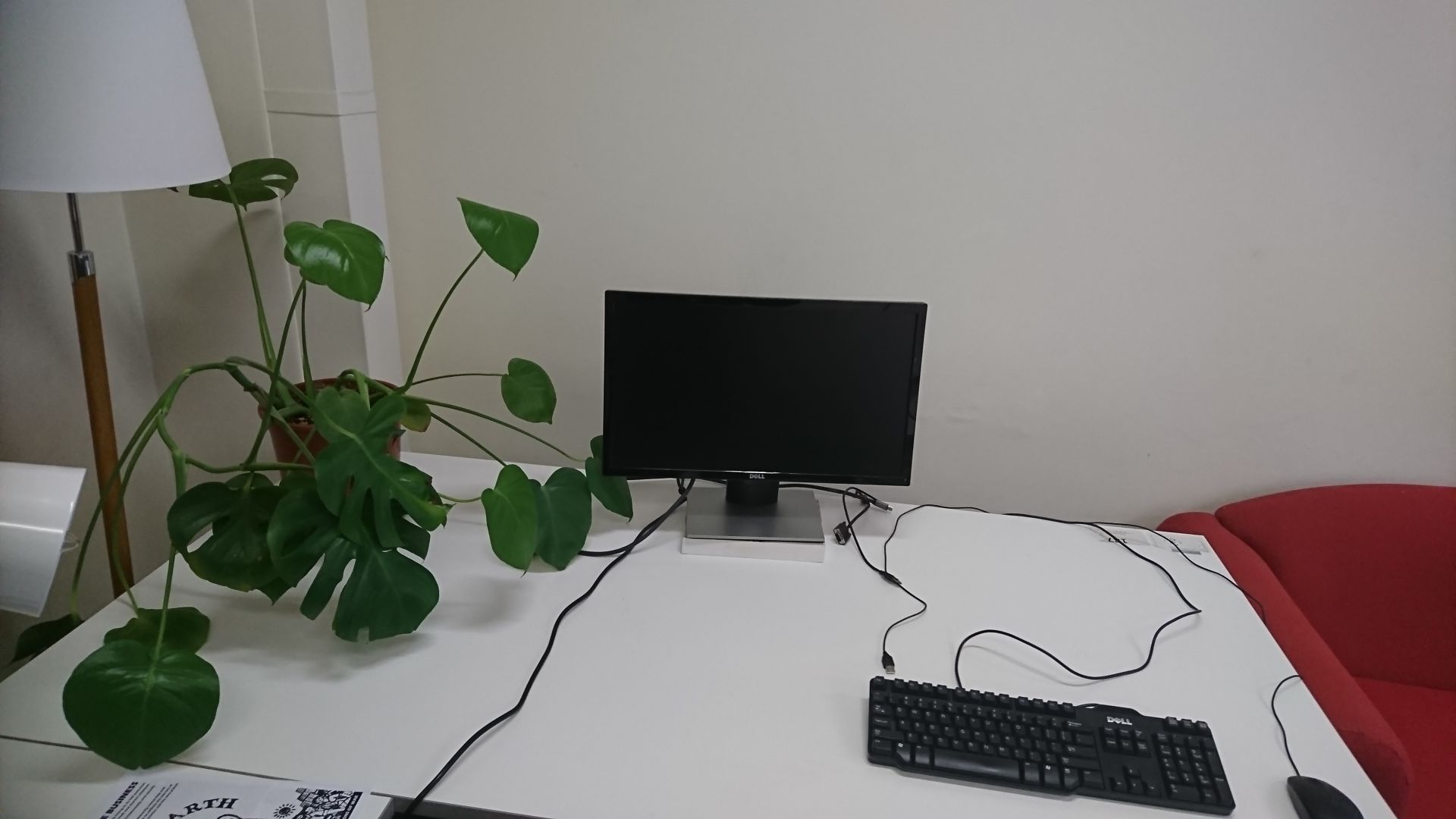 888 Co-operative Causeway image 4