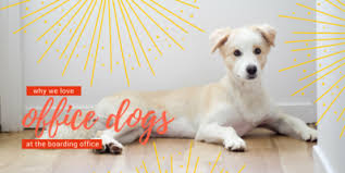 The Boarding Office image 4