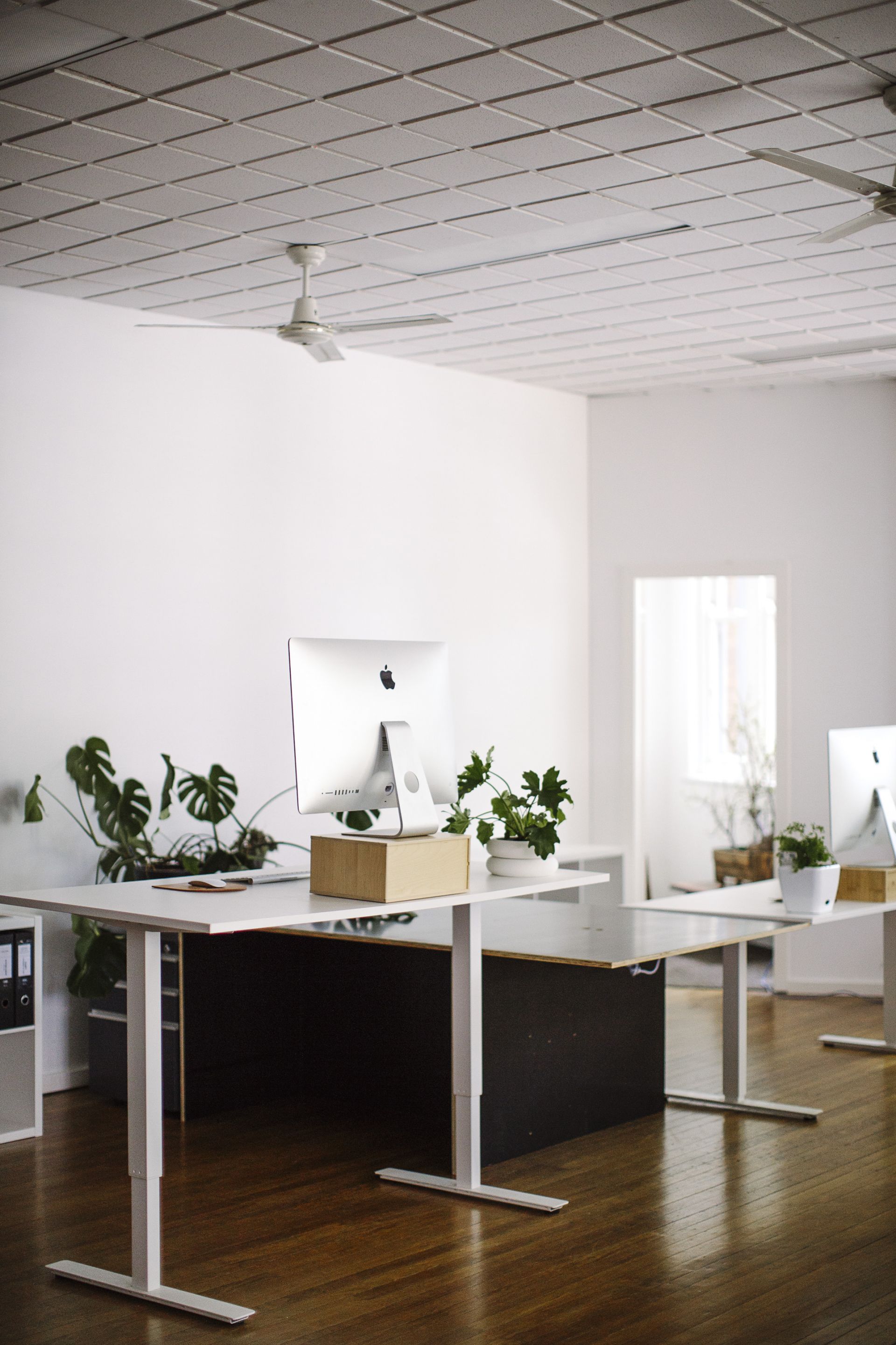 Crown Street Studio image 4