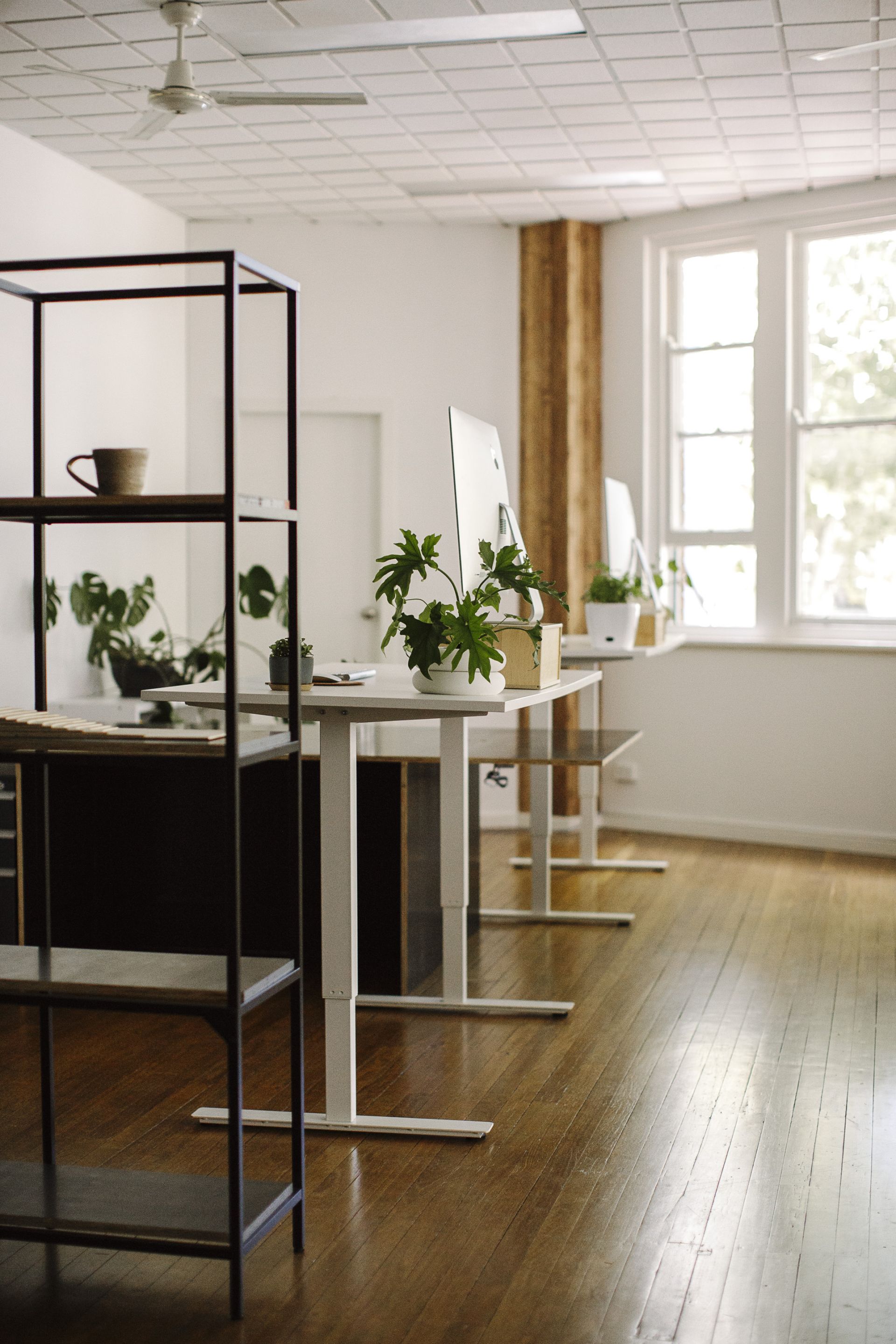 Crown Street Studio image 3