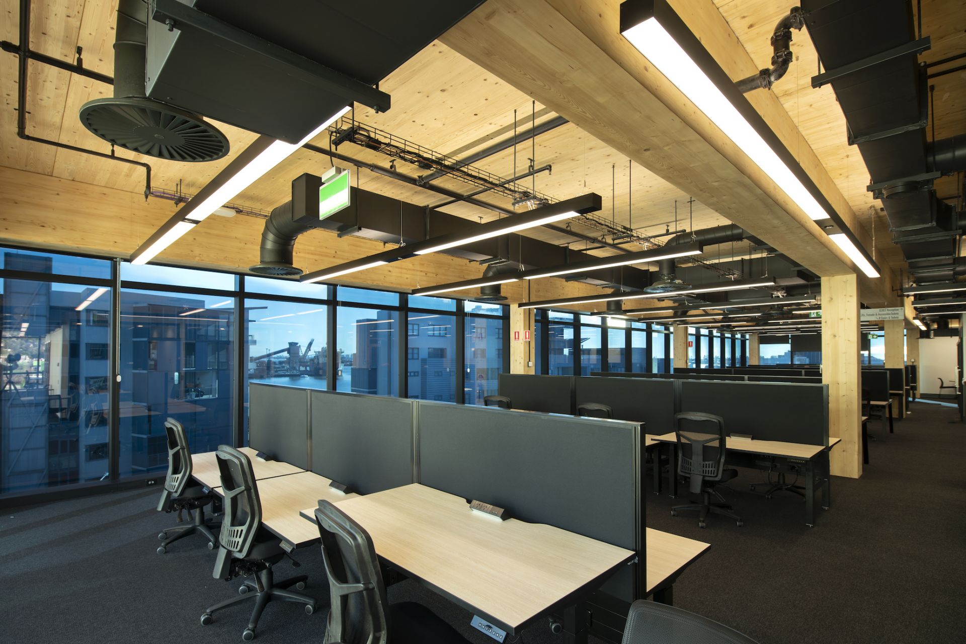 I2N Hub Honeysuckle image 4