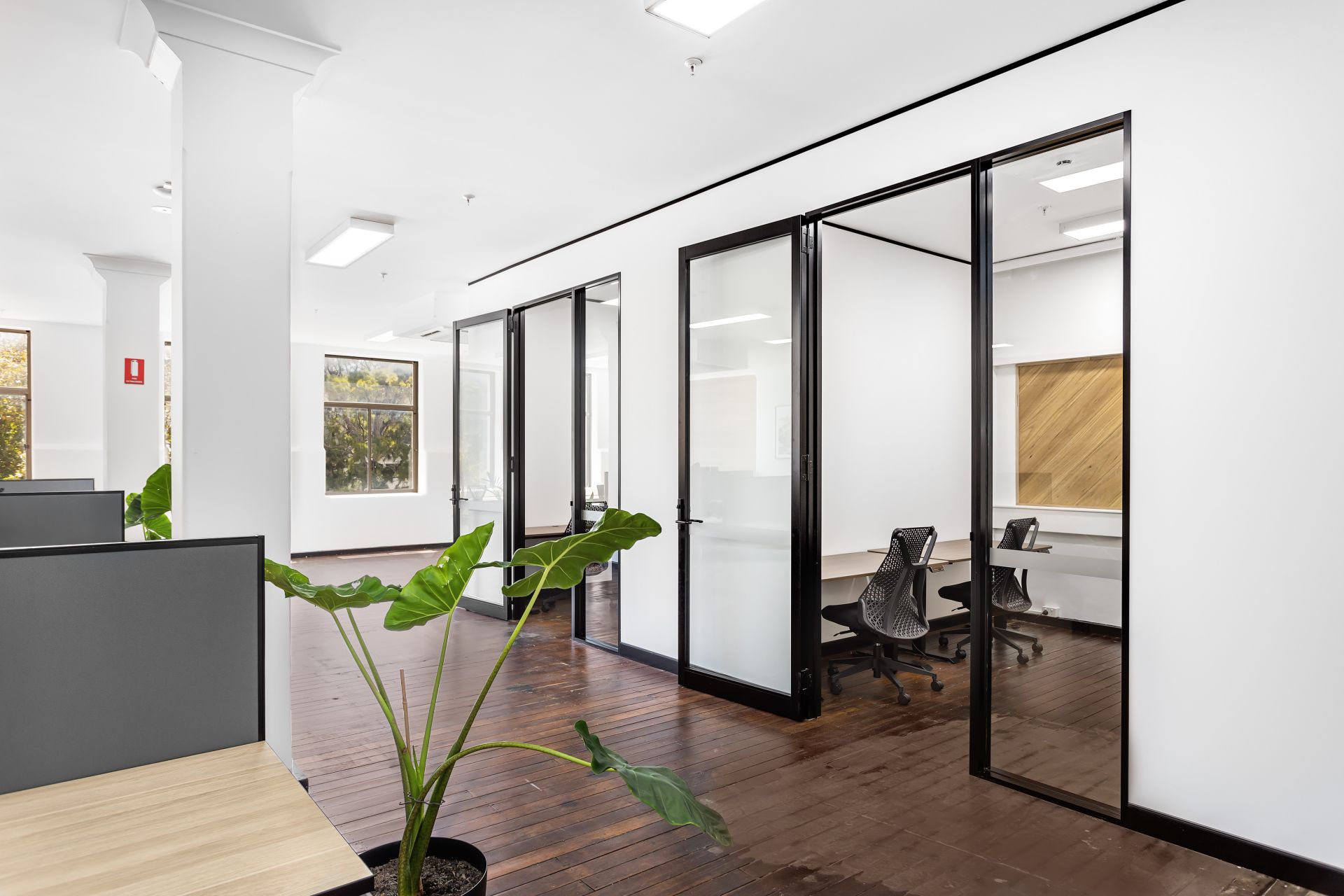 Nest Coworking Space image 3