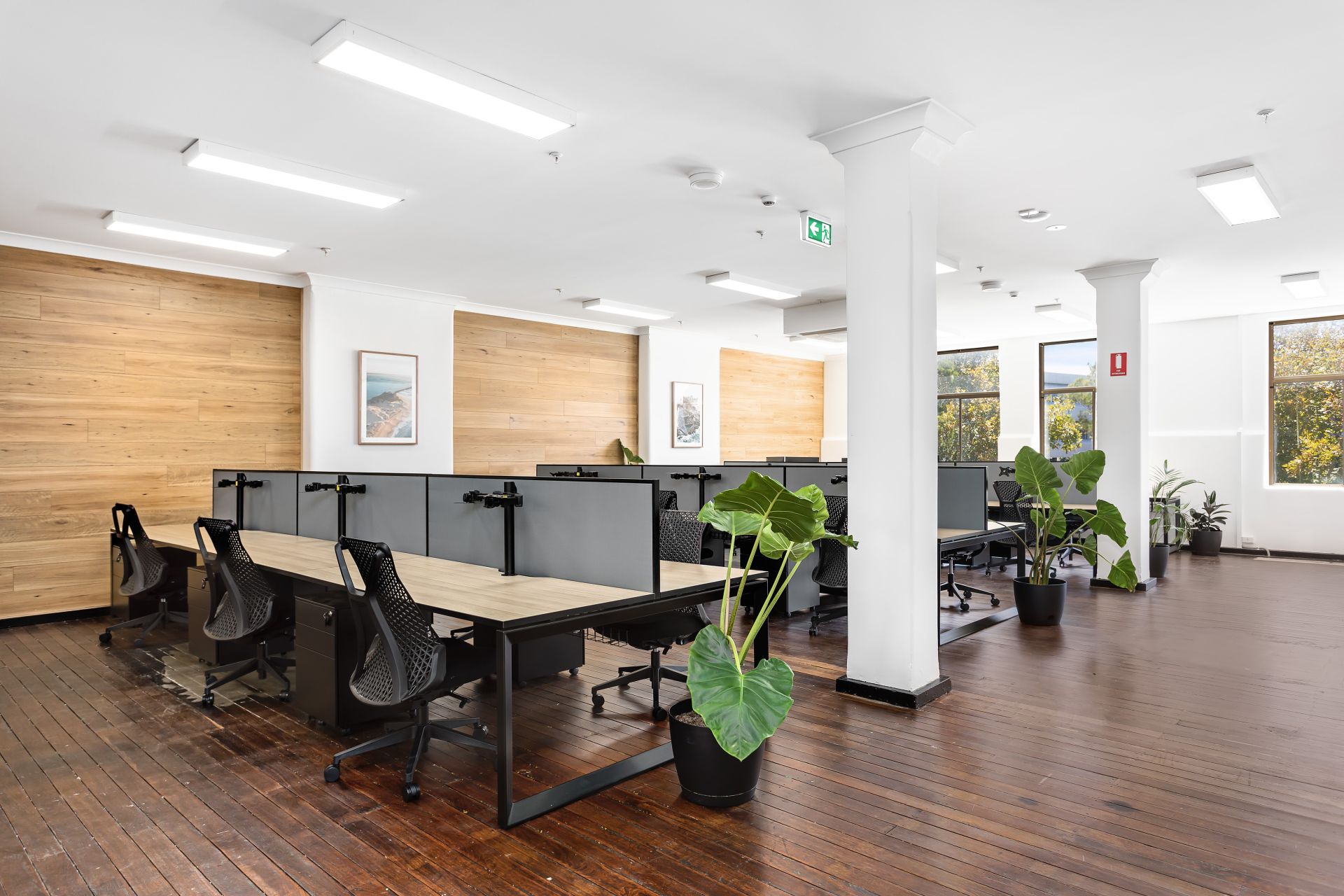 Nest Coworking Space image 5