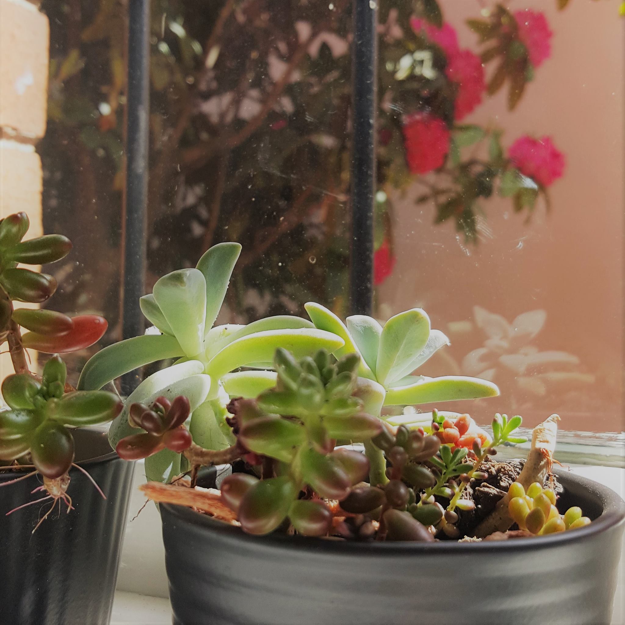 Co-Work Orange image 3