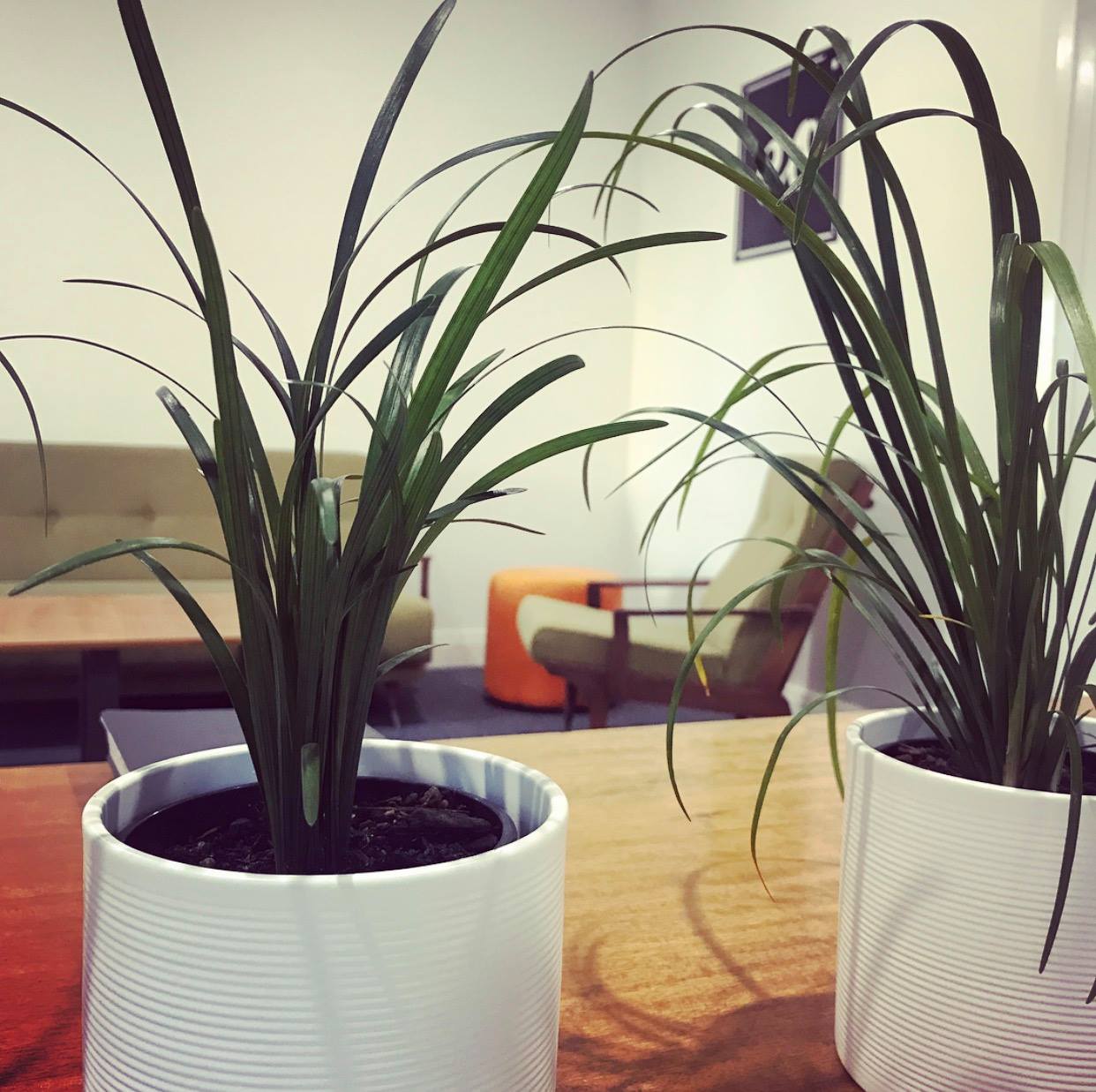 Co-Work Orange image 5