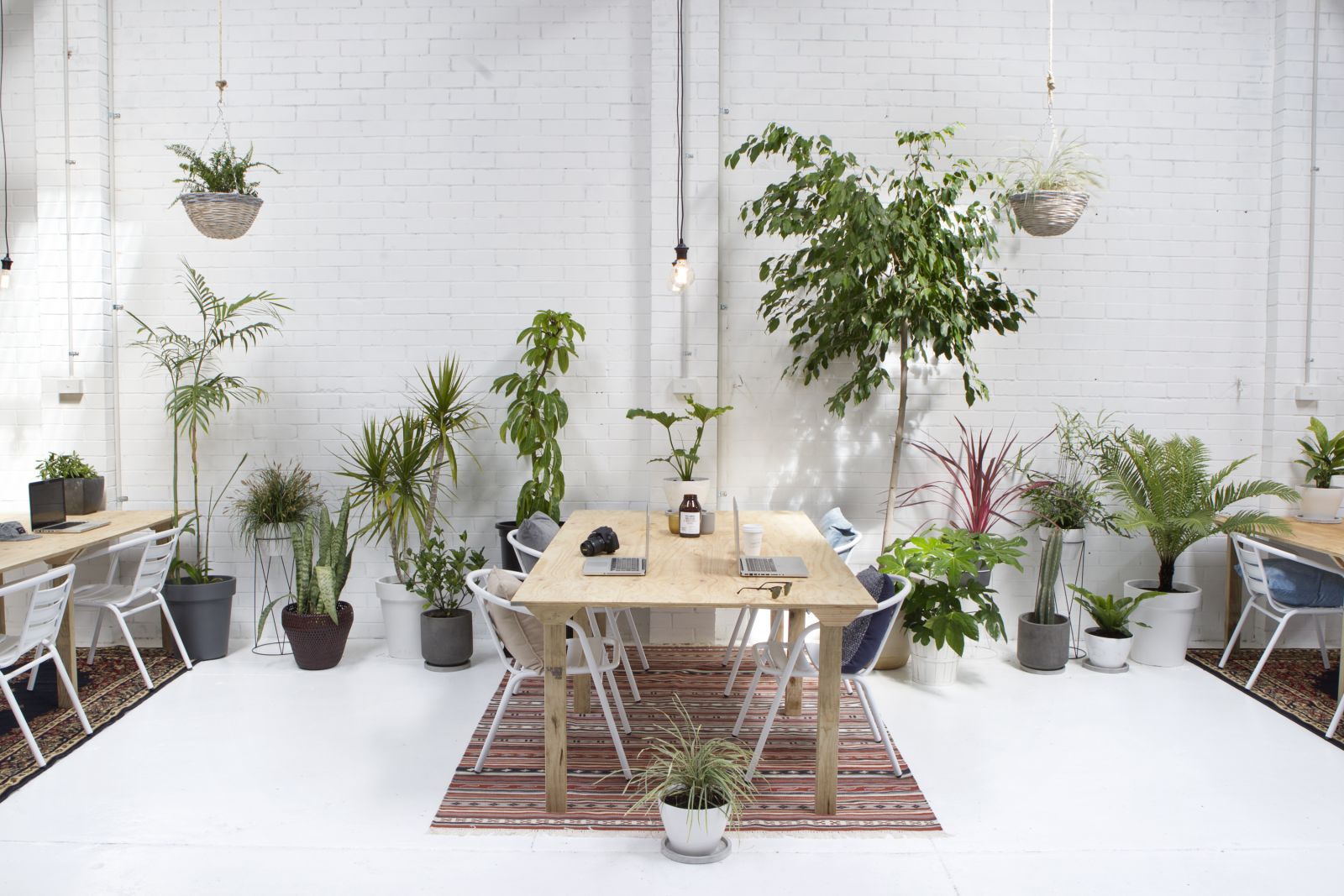 Cleaver Street & Co. Studio image 5