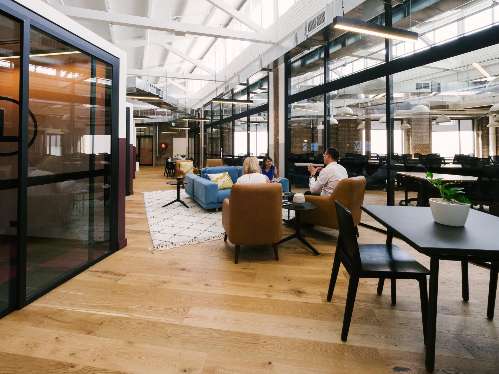 WeWork 100 Harris St image 3