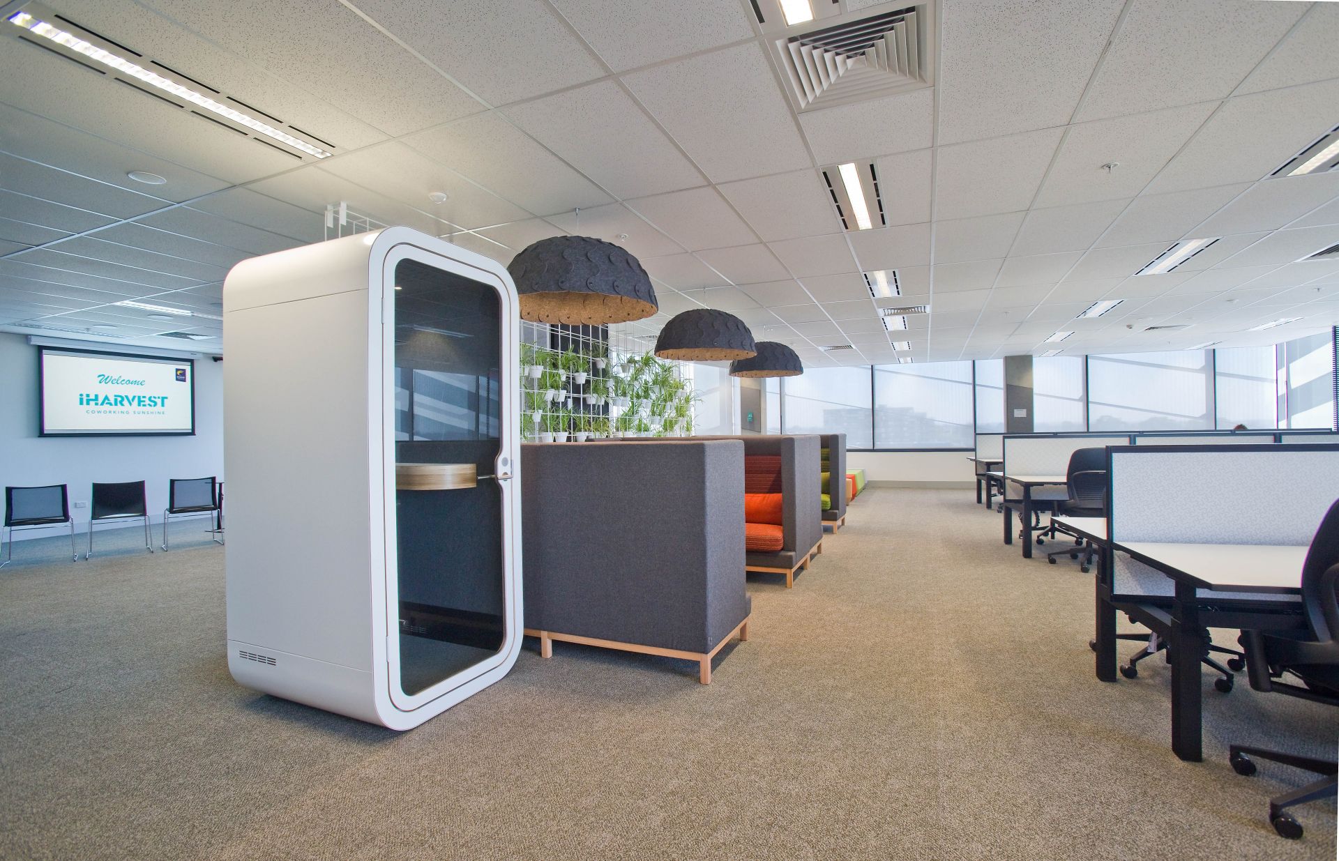 iHarvest Coworking Sunshine image 2