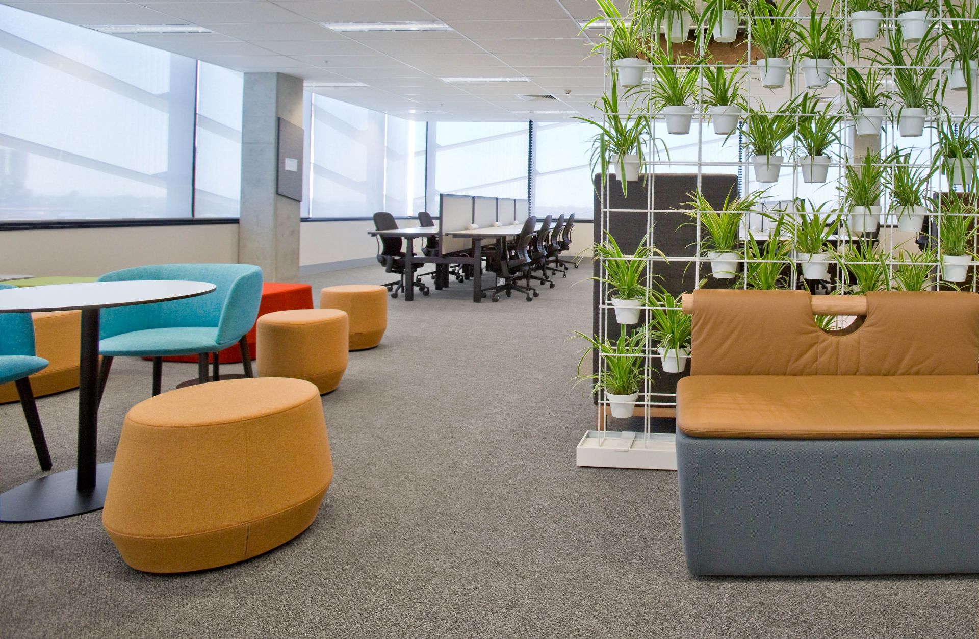 iHarvest Coworking Sunshine image 3