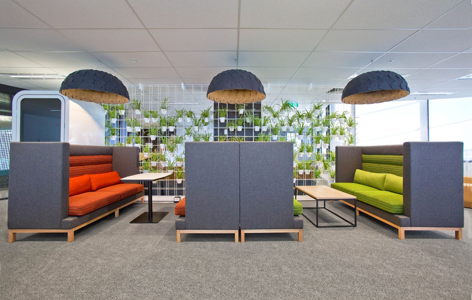 iHarvest Coworking Sunshine image 5