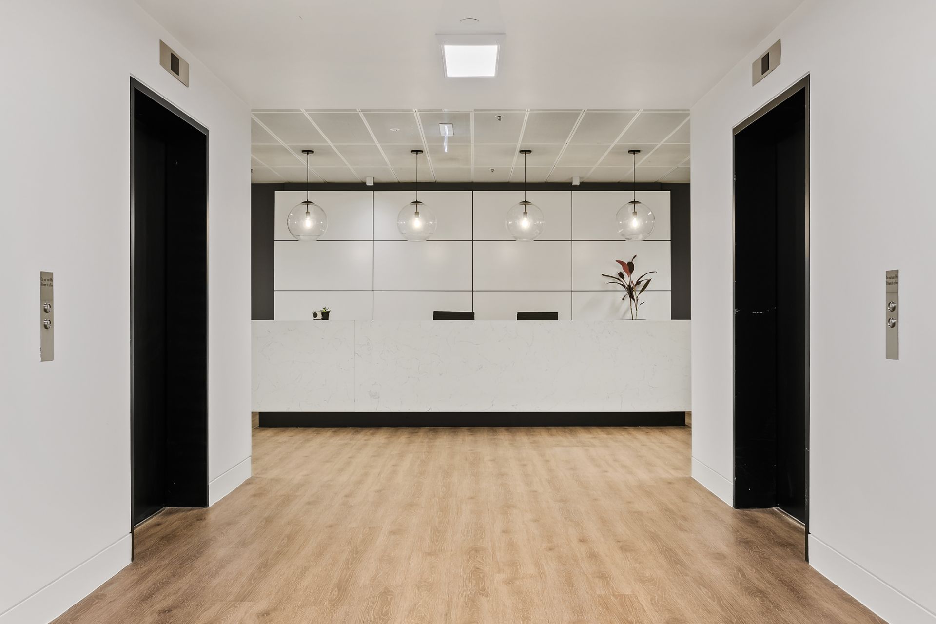 Emerge Sydney image 3