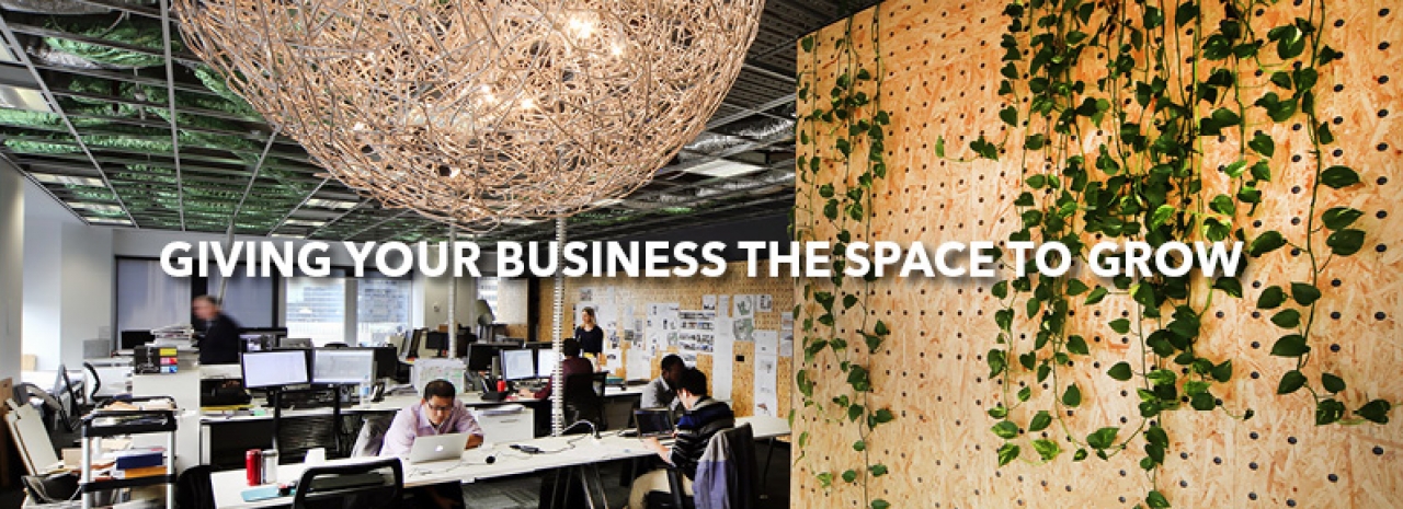 Space & Co profile image