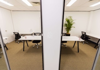 WOTSO Botany image 2