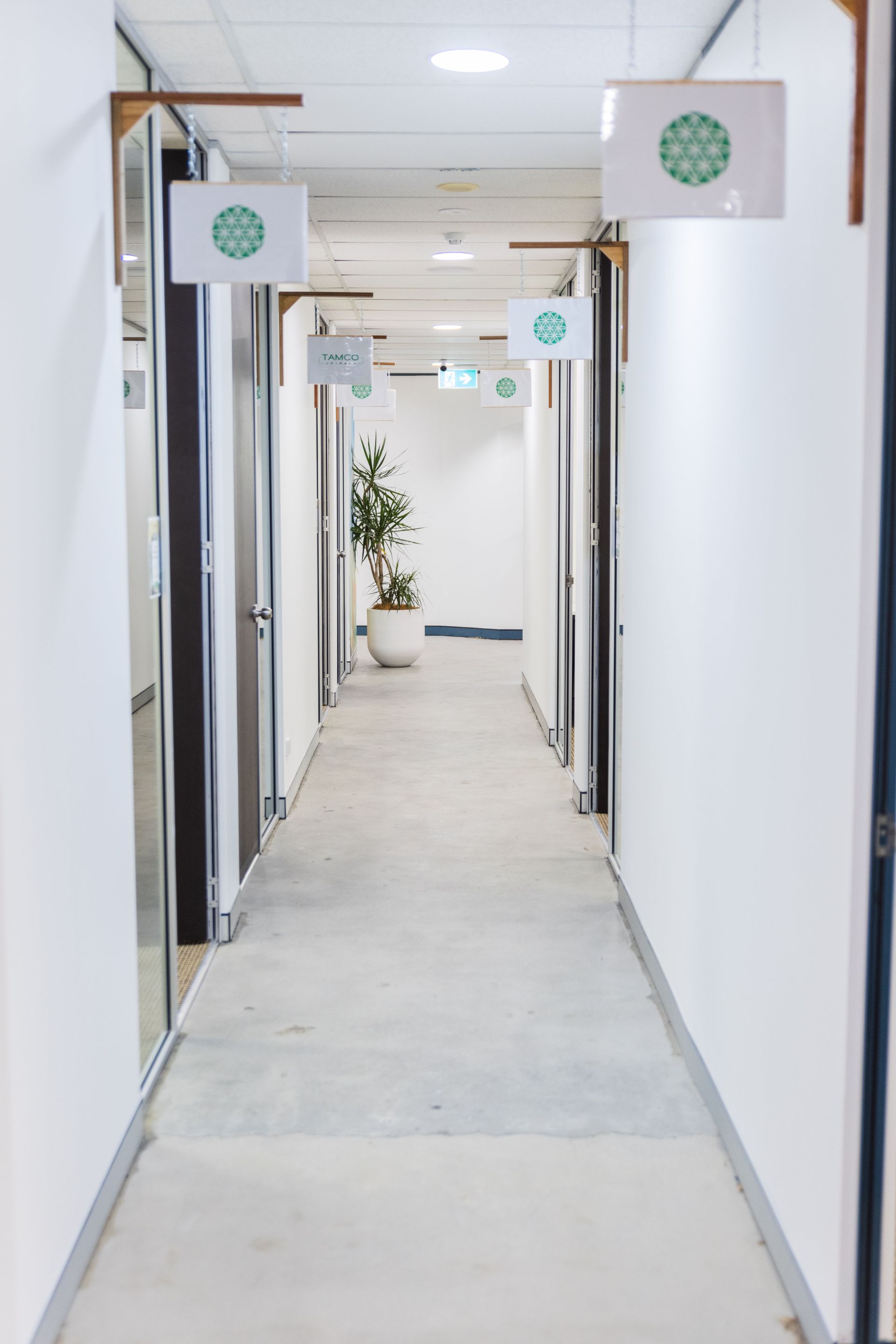 WOTSO Botany image 5