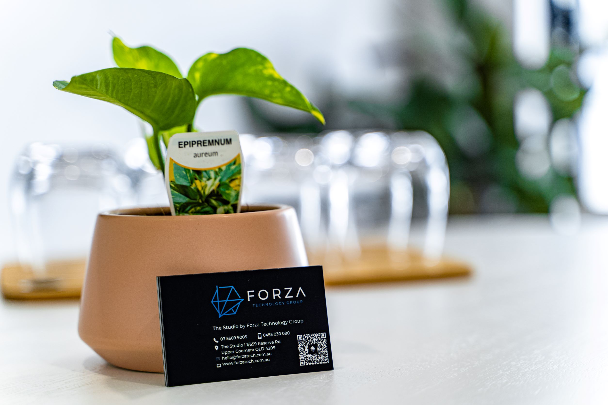 The Studio by Forza Technology Group image 3