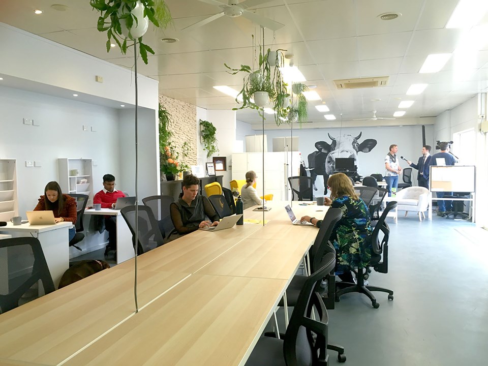 Herd Coworking image 3